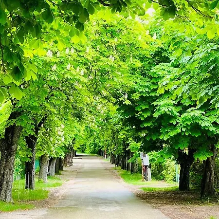 Aranygesztenye Balatonudvari